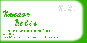 nandor melis business card